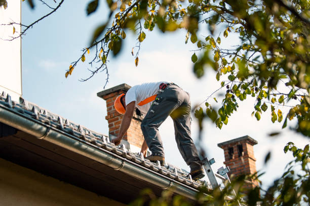 Best Emergency Roof Repair  in Honeyville, UT